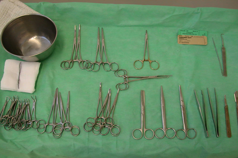 Construction of Surgical Instruments Virtual Vet Surgery
